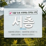 국어사전에서 💕서총으로 시작하는 단어는 5개
