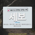세보상공 주식회사 | 국어사전에서 💕"세보"로 시작하는 단어는 5개