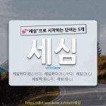 국어사전에서 💕세심으로 시작하는 단어는 5개