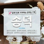 국어사전에서 💕송덕으로 시작하는 단어는 7개