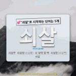 국어사전에서 💕쇠살로 시작하는 단어는 5개