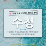 국어사전에서 💕수청으로 시작하는 단어는 8개