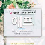 국어사전에서 💕애프로 시작하는 단어는 5개