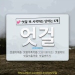 국어사전에서 💕엇걸로 시작하는 단어는 6개