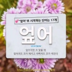 국어사전에서 💕엎어로 시작하는 단어는 17개