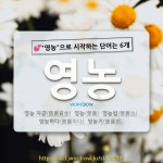 국어사전에서 💕영농으로 시작하는 단어는 6개