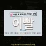 국어사전에서 💕이빨로 시작하는 단어는 5개