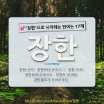 국어사전에서 💕장한으로 시작하는 단어는 17개
