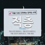 국어사전에서 💕적층으로 시작하는 단어는 9개