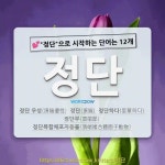 국어사전에서 💕정단으로 시작하는 단어는 12개