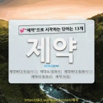 국어사전에서 💕제약으로 시작하는 단어는 13개