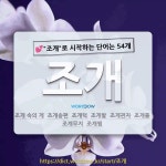 국어사전에서 💕조개로 시작하는 단어는 54개