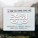 국어사전에서 💕종형으로 시작하는 단어는 5개