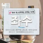 국어사전에서 💕좌수로 시작하는 단어는 16개