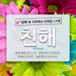 국어사전에서 💕천해로 시작하는 단어는 13개