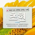 국어사전에서 💕초현으로 시작하는 단어는 10개