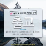 국어사전에서 💕출교로 시작하는 단어는 5개