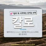 국어사전에서 💕칼로로 시작하는 단어는 8개
