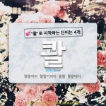 국어사전에서 💕콸로 시작하는 단어는 4개
