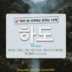 국어사전에서 💕하도로 시작하는 단어는 14개