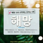국어사전에서 💕해망으로 시작하는 단어는 9개