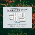 국어사전에서 💕해밀로 시작하는 단어는 5개