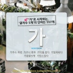 국어사전에서 💕가로 시작하는, 글자수 5개의 단어는 557개