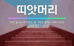 🌟띠앗머리: ‘띠앗’을 속되게 이르는 말. (띠앗: 형제나 자매 사이의 우애심.) - 표준국어대사전