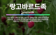 🌟랑고바르드족: 고대 게르만 민족의 한 갈래. 원주지는 엘베강 하류 지역이었지만 이후 다뉴브강, 오스트리아... - 표준국어대사전