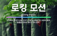 🌟로킹 모션: 야구에서, 투수가 공을 던지기 전에 추진력을 얻기 위하여 팔과 몸통을 앞뒤로 흔드는 준비 동작. - 표준국어대사전