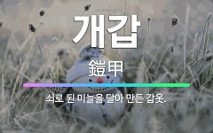 🌟개갑: 쇠로 된 미늘을 달아 만든 갑옷. - 표준국어대사전