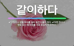 🌟같이하다: 어떤 뜻이나 행동 또는 때 따위를 서로 동일하게 취하다., 경험이나 생활 따위를 얼마 동안 더... - 표준국어대사전