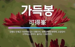 🌟가득봉: 강원도 인제군 기린면에 있는 산봉우리. 태백산맥에 속하며, 소양강이 시작되는 곳이다. 높이는 1... - 표준국어대사전
