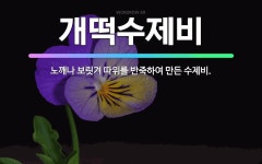🌟개떡수제비: 노깨나 보릿겨 따위를 반죽하여 만든 수제비. - 표준국어대사전
