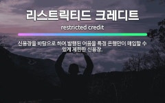 🌟리스트릭티드 크레디트: 신용장을 바탕으로 하여 발행된 어음을 특정 은행만이 매입할 수 있게 제한한 신용장. - 표준국어대사전