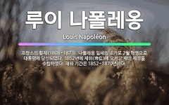 🌟루이 나폴레옹: 프랑스의 황제(1808~1873). 나폴레옹 일세의 조카로 2월 혁명으로 대통령에 당선되... - 표준국어대사전