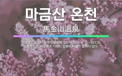 🌟마금산 온천: 경상남도 창원시 북면 신촌리에 있는 온천. 수온 35~48℃의 유황천으로, 피부병과 기타의... - 표준국어대사전