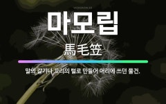 🌟마모립: 말의 갈기나 꼬리의 털로 만들어 머리에 쓰던 물건. - 표준국어대사전