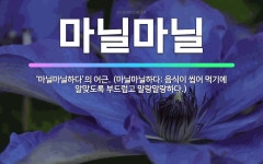 🌟마닐마닐: ‘마닐마닐하다’의 어근. (마닐마닐하다: 음식이 씹어 먹기에 알맞도록 부드럽고 말랑말랑하다.) - 표준국어대사전