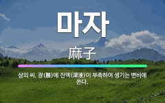 🌟마자: 삼의 씨. 장(腸)에 진액(津液)이 부족하여 생기는 변비에 쓴다. - 표준국어대사전