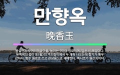 🌟만향옥: 용설란과의 여러해살이풀. 높이는 1미터 정도이며, 잎은 선 모양이다. 유백색의 꽃이 포(苞)의 ... - 표준국어대사전