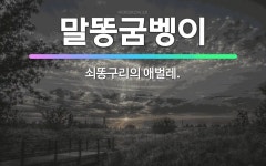 🌟말똥굼벵이: 쇠똥구리의 애벌레. - 표준국어대사전