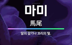 🌟마미: 말의 갈기나 꼬리의 털. - 표준국어대사전