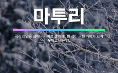 🌟마투리: 곡식의 양을 섬이나 가마로 잴 때에, 한 섬이나 한 가마가 되지 못하고 남은 양. - 표준국어대사전