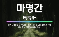 🌟마명간: 말린 누에의 똥을 한방에서 이르는 말. 풍습(風濕)으로 인한 마비 증상, 관절염 따위에 쓴다. - 표준국어대사전