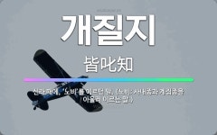 🌟개질지: 신라 때에, ‘노비’를 이르던 말. (노비: 사내종과 계집종을 아울러 이르는 말.) - 표준국어대사전