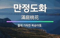 🌟만정도화: 뜰에 가득한 복숭아꽃. - 표준국어대사전