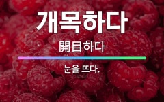 🌟개목하다: 눈을 뜨다. - 표준국어대사전