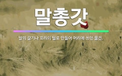 🌟말총갓: 말의 갈기나 꼬리의 털로 만들어 머리에 쓰던 물건. - 표준국어대사전