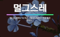 🌟멀그스레: ‘멀그스레하다’의 어근. (멀그스레하다: 조금 묽은 듯하다.) - 표준국어대사전